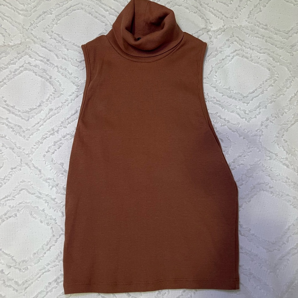 Zara Sleeveless turtleneck Neck Sweater